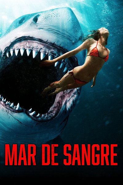 Póster de Gran tiburón blanco