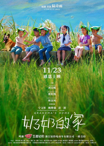 Póster de Grandma's Home