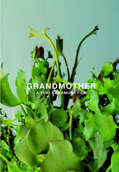 Póster de Grandmother