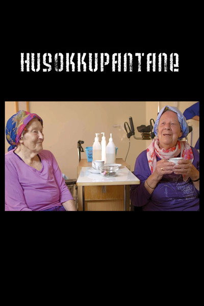 Póster de Granny Squatters