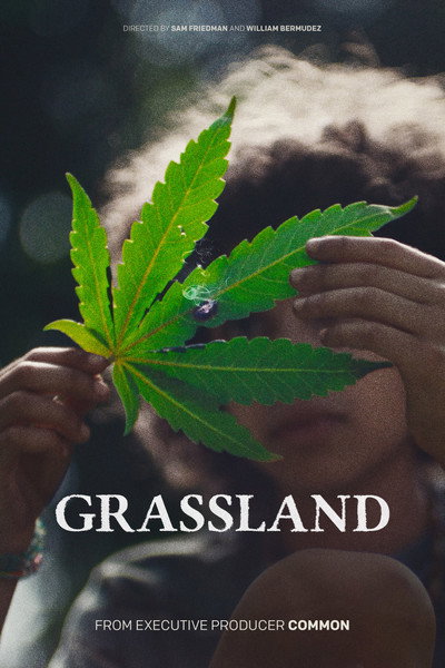 Póster de Grassland