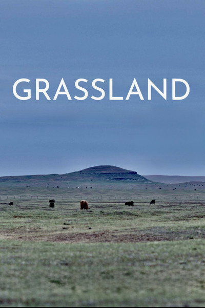 Póster de Grassland