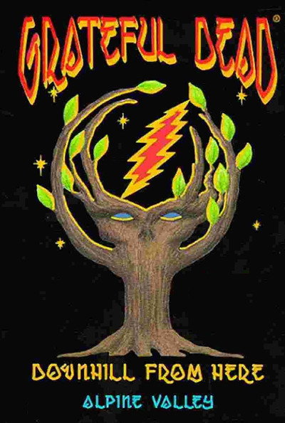 Póster de Grateful Dead: Downhill from Here