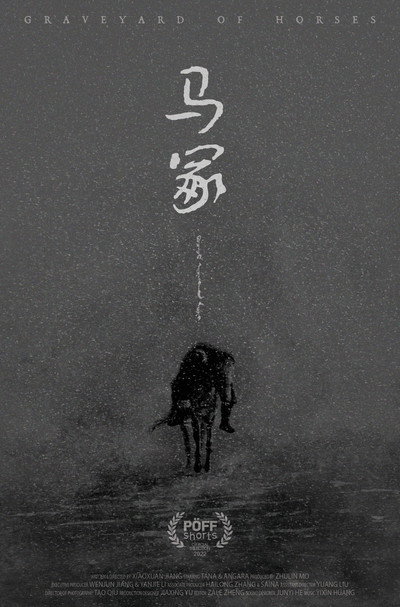 Póster de Graveyard of Horses