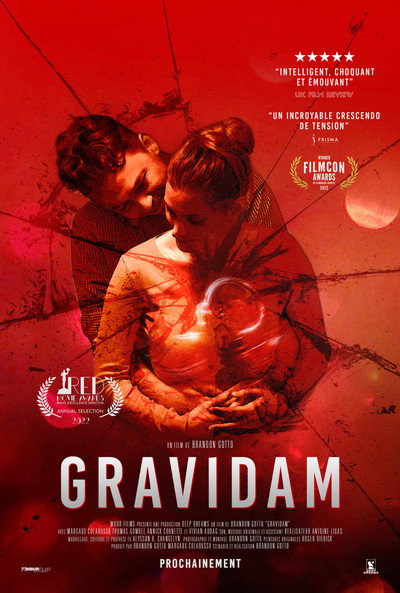 Póster de Gravidam