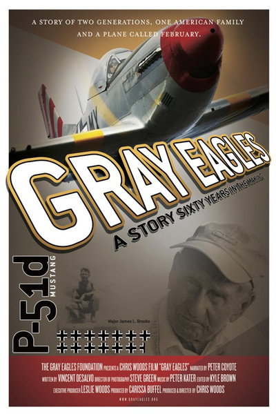 Póster de Gray Eagles