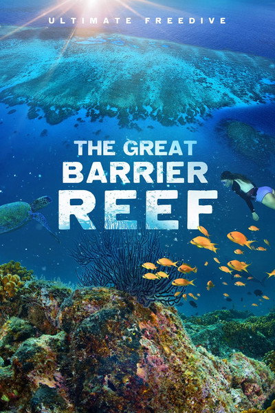 Póster de Great Barrier Reef 4K
