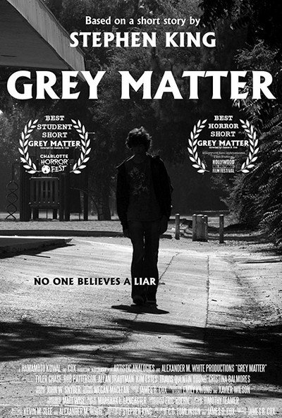 Póster de Grey Matter