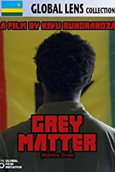 Póster de Grey Matter