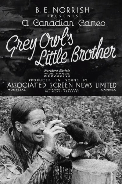 Póster de Grey Owl's Little Brother