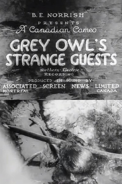 Póster de Grey Owl's Strange Guests