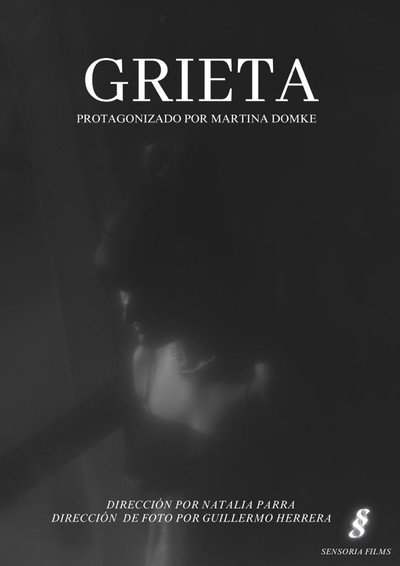 Póster de Grieta