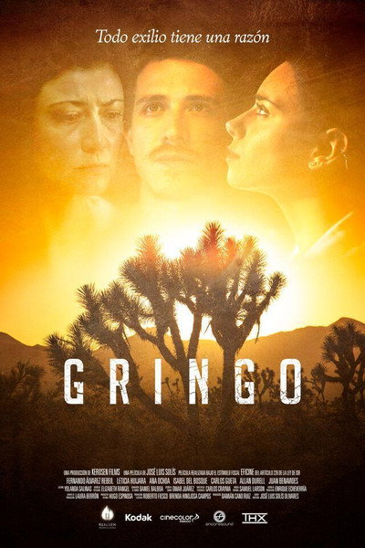 Póster de Gringo
