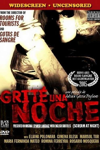 Póster de Grité una noche