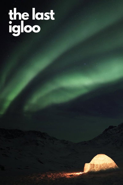 Póster de Groenland, le dernier igloo