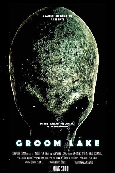 Póster de Groom Lake