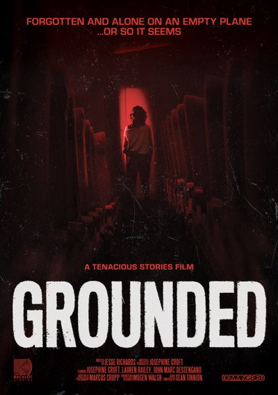Póster de Grounded
