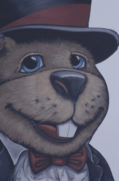 Póster de Groundhog Town