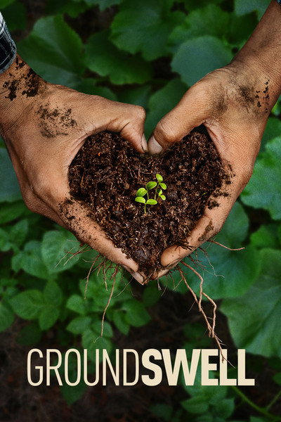 Póster de Groundswell