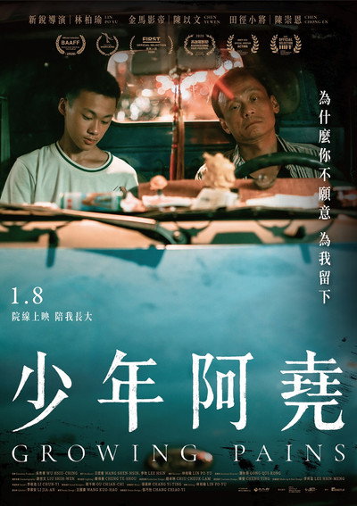 Póster de Growing Pains