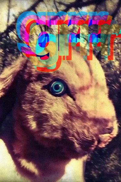 Póster de Grrr