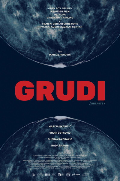 Póster de Grudi