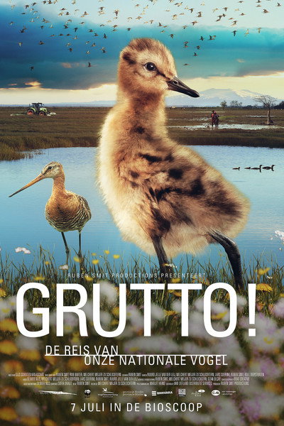 Póster de Grutto!