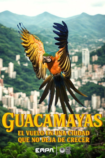 Póster de Guacamayas: El vuelo en una ciudad que no deja de crecer