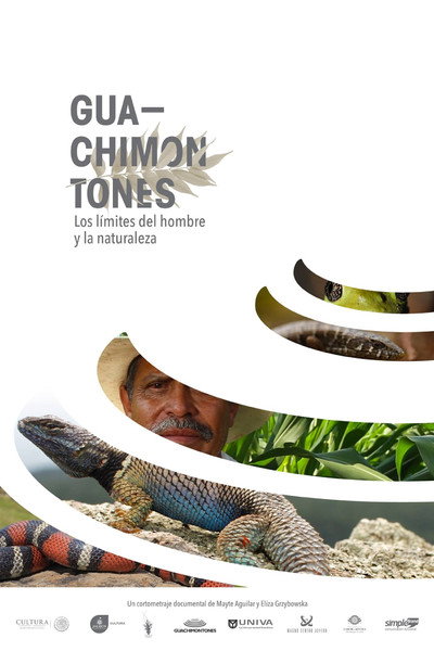 Póster de Guachimontones. The limits of man and nature.