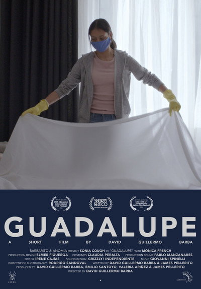 Póster de Guadalupe