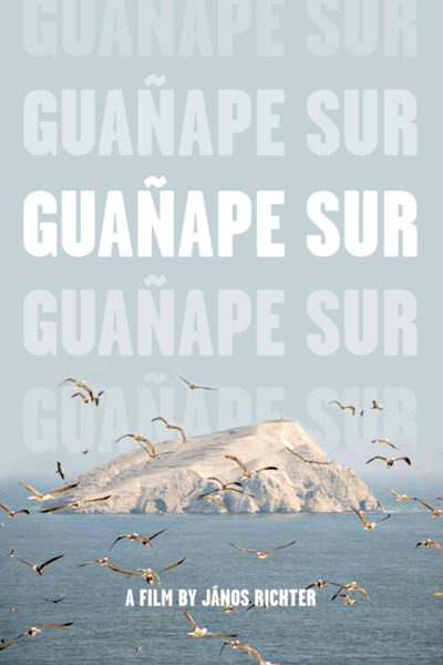 Póster de Guañape Sur