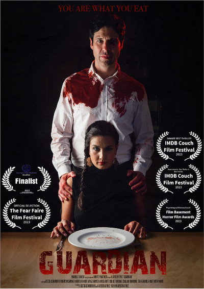 Póster de Guardian
