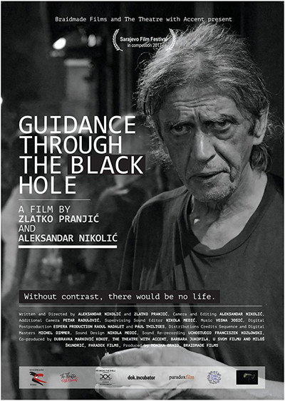 Póster de Guidance Through the Black Hole