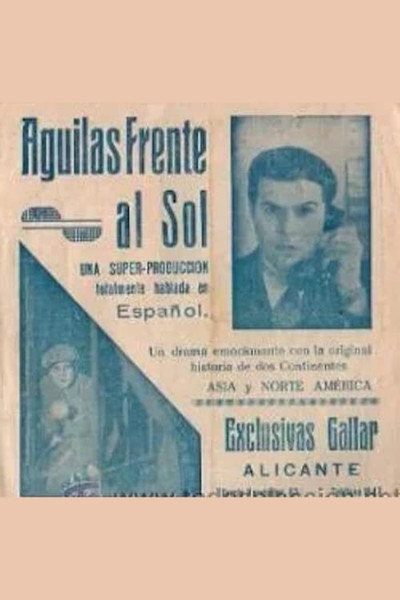 Póster de Águilas frente al sol