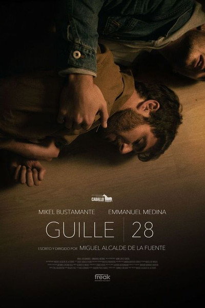 Póster de Guille, 28