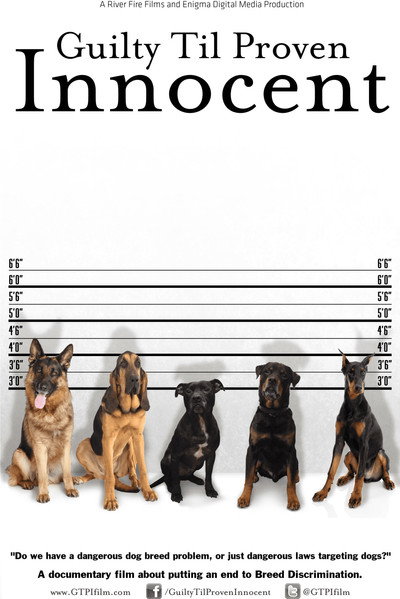 Póster de Guilty 'Til Proven Innocent