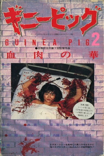 Póster de Guinea Pig 2: Flower of Flesh and Blood