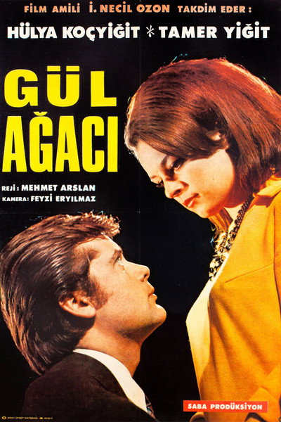Póster de Gül agaci
