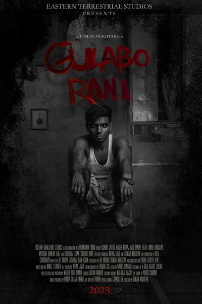 Póster de Gulabo Rani