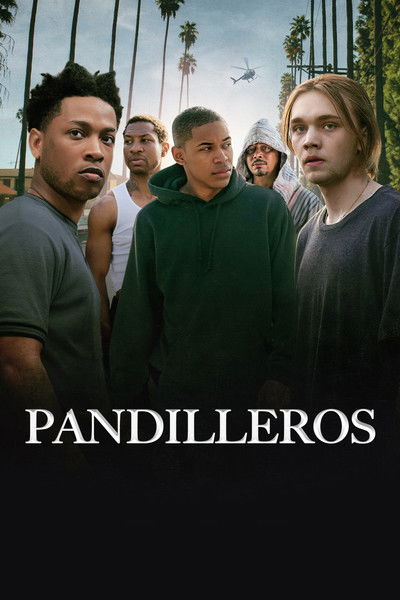 Póster de Gully