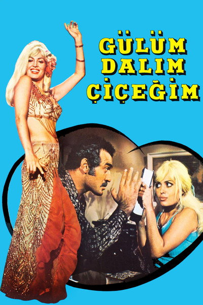 Póster de Gülüm Dalim Çiçegim