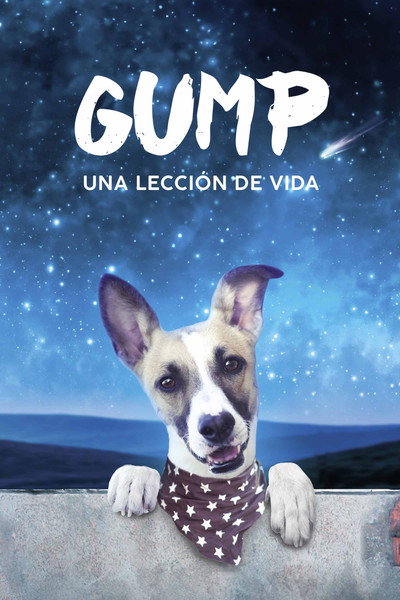 Póster de Gump - pes, který naucil lidi zít