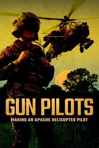 Póster de Gun Pilots