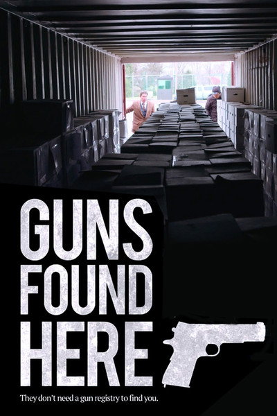Póster de Guns Found Here