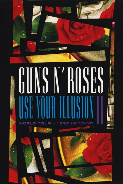 Póster de Guns N' Roses: Use Your Illusion II