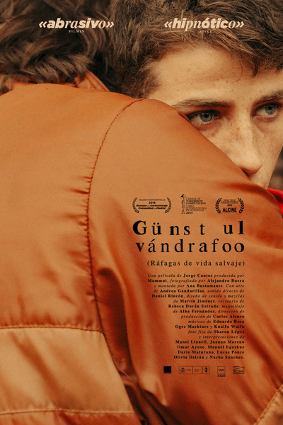 Póster de Günst ul vándrafoo