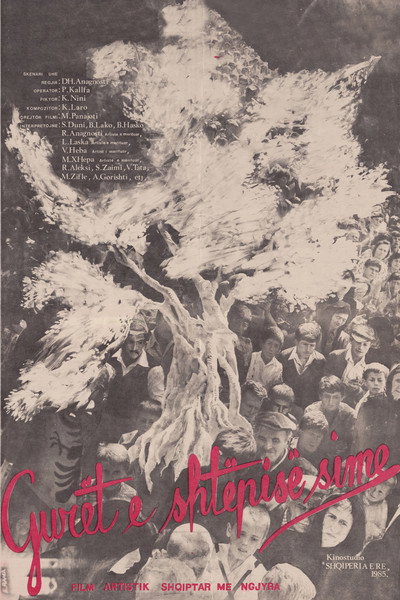 Póster de Gurët e shtëpisë sime