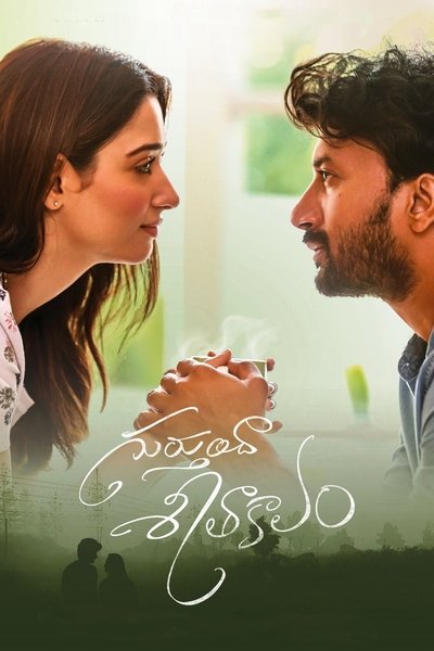 Póster de Gurthunda Seethakalam