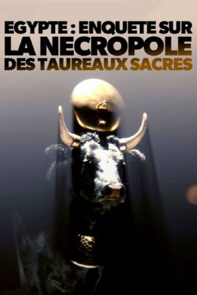 Póster de Égypte - Enquête sur la nécropole des taureaux sacrés