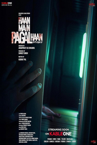Póster de Haan Main Pagal Haan